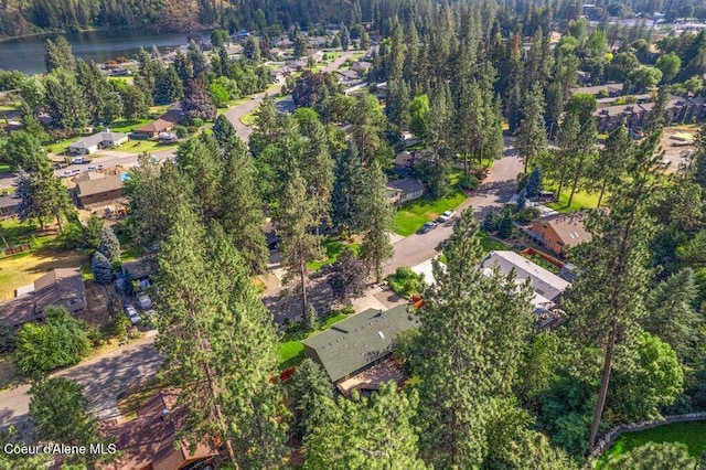 2909 E Fernan Ct, Coeur Dalene, ID 83814 - photo 47