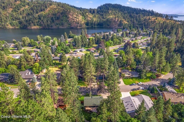 2909 E Fernan Ct, Coeur Dalene, ID 83814 - photo 46