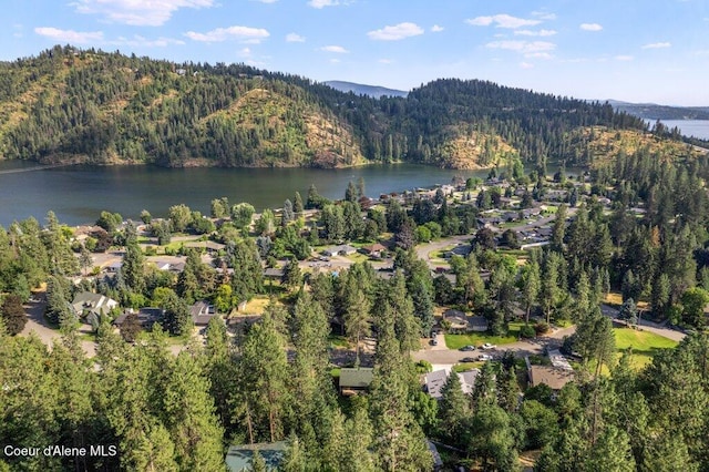 2909 E Fernan Ct, Coeur Dalene, ID 83814 - photo 48