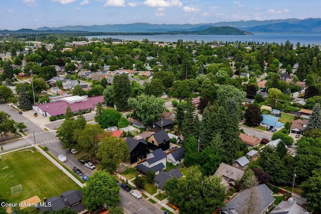 517 Lavina Ave, Sandpoint, ID 83864 - photo 61