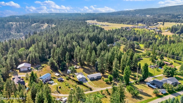 110 Appaloosa Rd, Moyie Springs, ID 83845 - photo 54