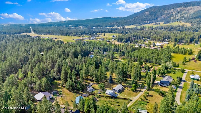 110 Appaloosa Rd, Moyie Springs, ID 83845 - photo 55