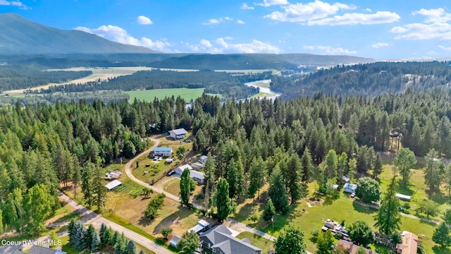 110 Appaloosa Rd, Moyie Springs, ID 83845 - photo 57