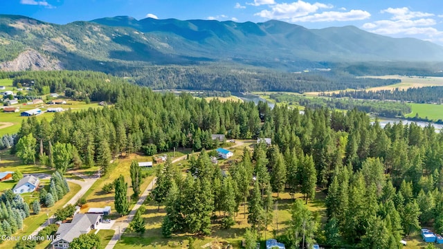 110 Appaloosa Rd, Moyie Springs, ID 83845 - photo 58