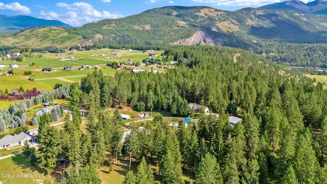 110 Appaloosa Rd, Moyie Springs, ID 83845 - photo 59