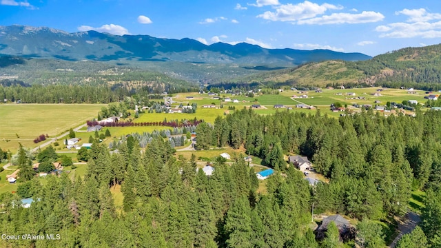 110 Appaloosa Rd, Moyie Springs, ID 83845 - photo 60