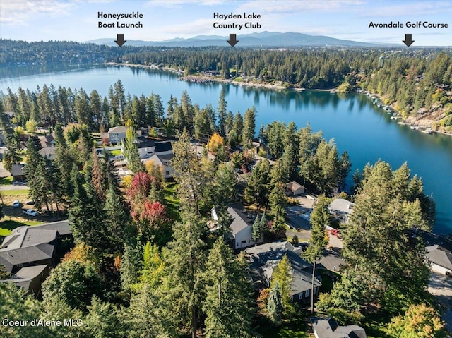 2918 E Point Hayden Dr, Hayden Lake, ID 83835 - photo 40