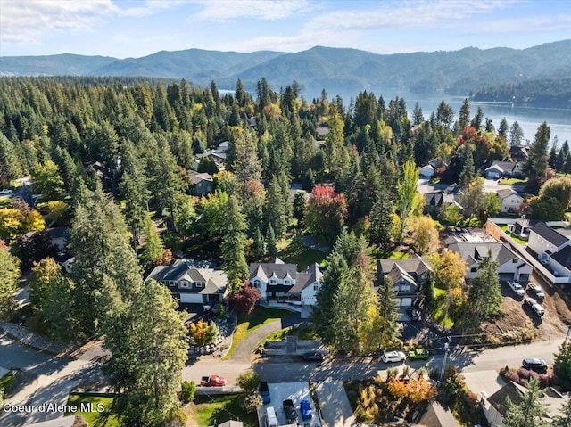 2918 E Point Hayden Dr, Hayden Lake, ID 83835 - photo 43