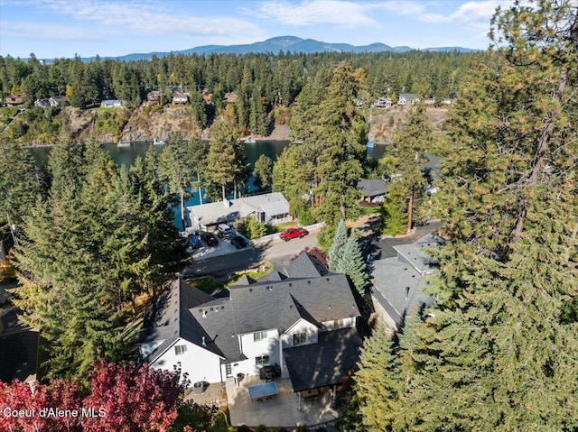 2918 E Point Hayden Dr, Hayden Lake, ID 83835 - photo 53