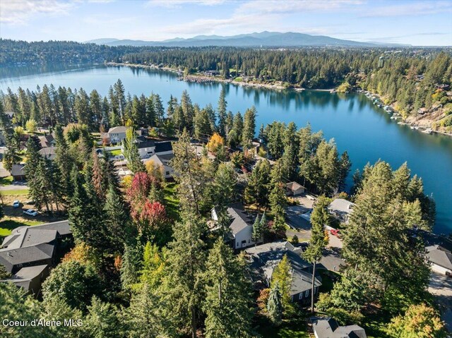 2918 E Point Hayden Dr, Hayden Lake, ID 83835 - photo 55