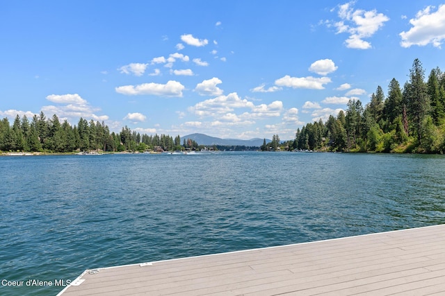 6198 W Harbor Dr, Coeur Dalene, ID 83814 - photo 45