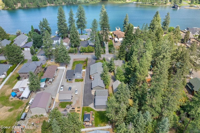 6198 W Harbor Dr, Coeur Dalene, ID 83814 - photo 54
