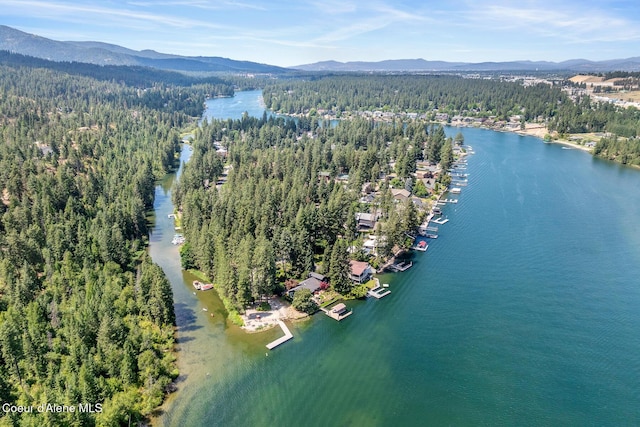 6198 W Harbor Dr, Coeur Dalene, ID 83814 - photo 56