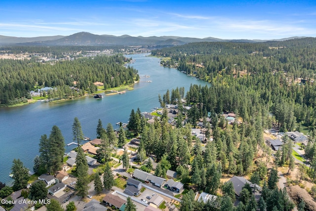 6198 W Harbor Dr, Coeur Dalene, ID 83814 - photo 58