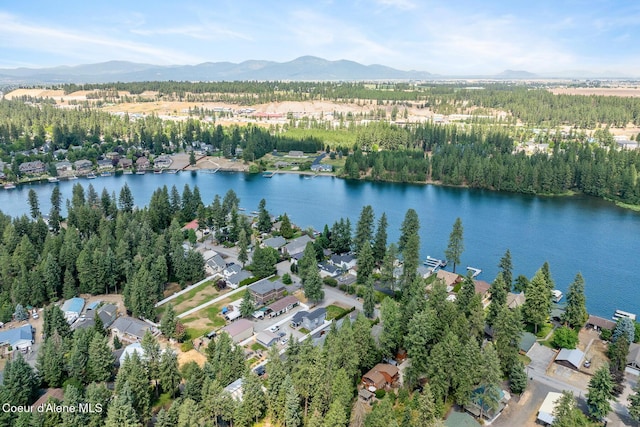 6198 W Harbor Dr, Coeur Dalene, ID 83814 - photo 60