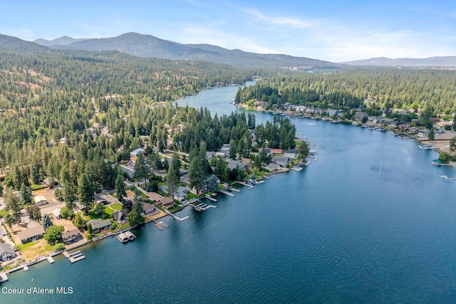 6198 W Harbor Dr, Coeur Dalene, ID 83814 - photo 62