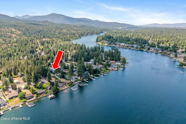 6198 W Harbor Dr, Coeur Dalene, ID 83814 - photo 63