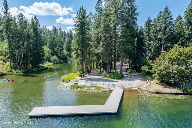 6198 W Harbor Dr, Coeur Dalene, ID 83814 - photo 67