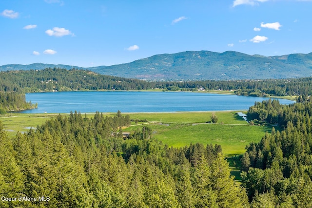 14802 N Mobbs Rd, Hauser, ID 83854 - photo 8