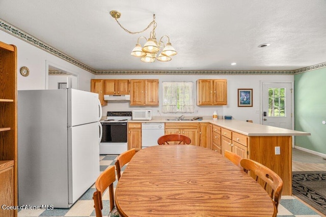 842 Eastriver Spur, Priest River, ID 83856 - photo 5