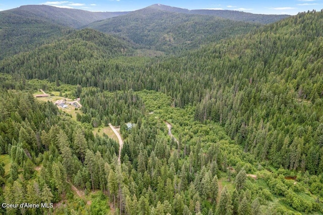 842 Eastriver Spur, Priest River, ID 83856 - photo 34