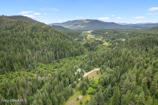 842 Eastriver Spur, Priest River, ID 83856 - photo 35