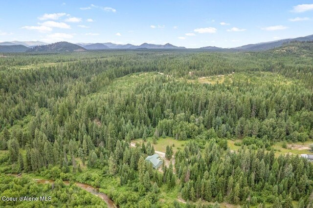 842 Eastriver Spur, Priest River, ID 83856 - photo 36