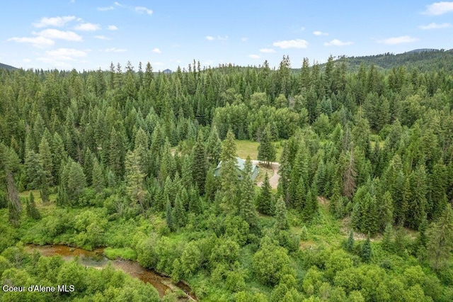 842 Eastriver Spur, Priest River, ID 83856 - photo 37