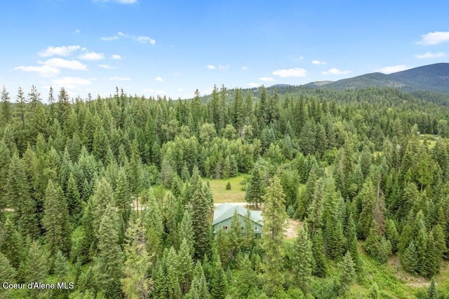 842 Eastriver Spur, Priest River, ID 83856 - photo 31