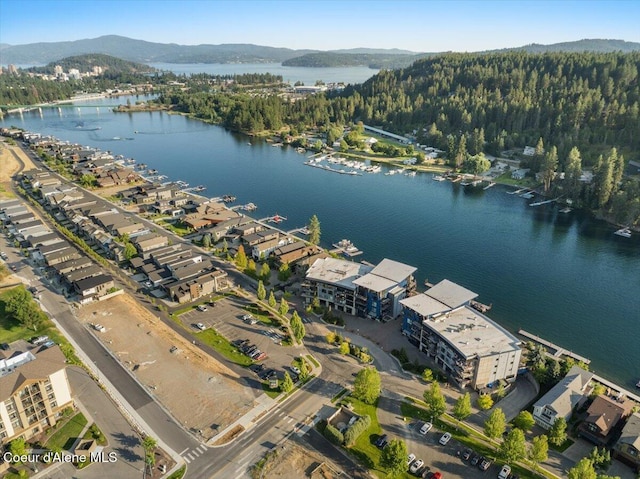 1950 W Bellerive Ln # 310, Coeur Dalene, ID 83814 - photo 46
