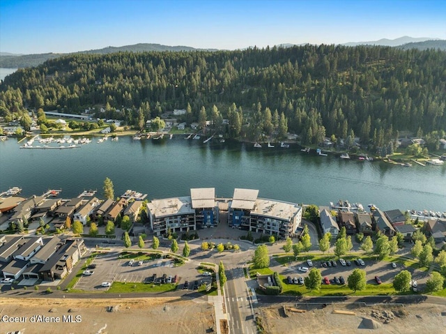 1950 W Bellerive Ln # 310, Coeur Dalene, ID 83814 - photo 47