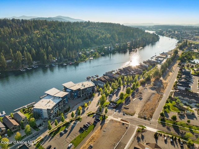 1950 W Bellerive Ln # 310, Coeur Dalene, ID 83814 - photo 48
