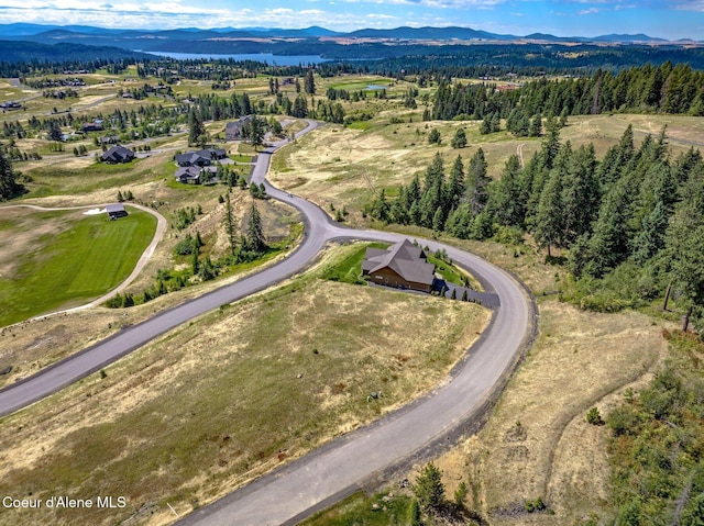 15231 S Chalone Dr, Coeur Dalene, ID 83814 - photo 4
