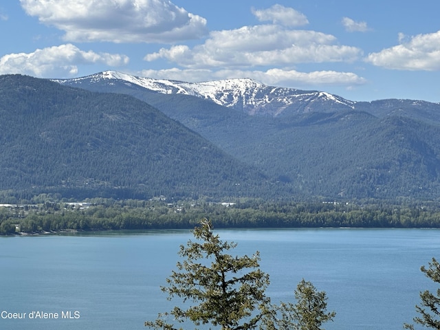 NKALOT9 Cheval Noir Ln, Sagle, ID 83860 - photo 1