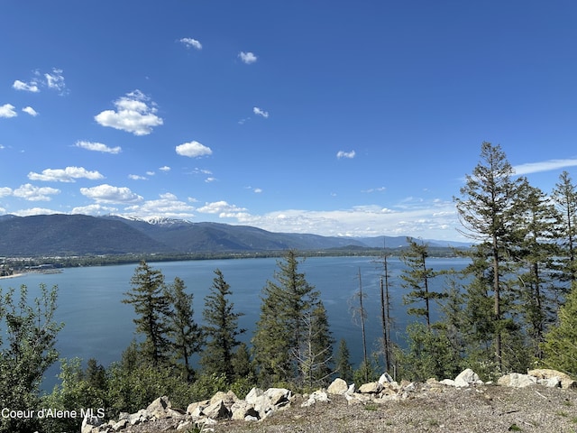 NKALOT9 Cheval Noir Ln, Sagle, ID 83860 - photo 2