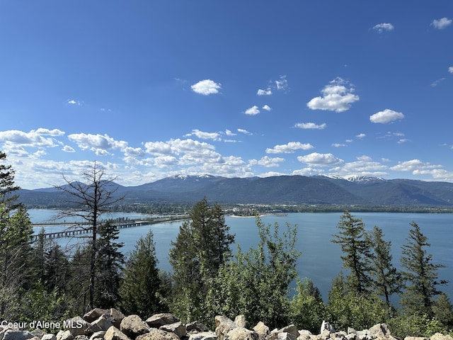 NKALOT9 Cheval Noir Ln, Sagle, ID 83860 - photo 4