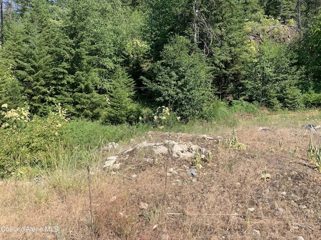 NKALOT9 Cheval Noir Ln, Sagle, ID 83860 - photo 9