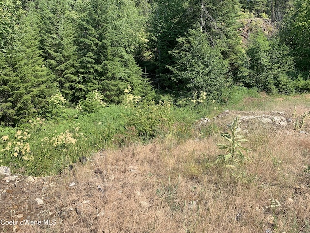 NKALOT9 Cheval Noir Ln, Sagle, ID 83860 - photo 10