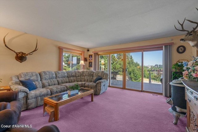 4700 W Foothill Dr, Coeur Dalene, ID 83814 - photo 31