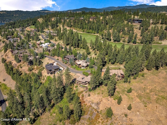 5574 W Onyx Cir, Coeur Dalene, ID 83814 - photo 52