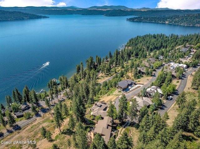 5574 W Onyx Cir, Coeur Dalene, ID 83814 - photo 54