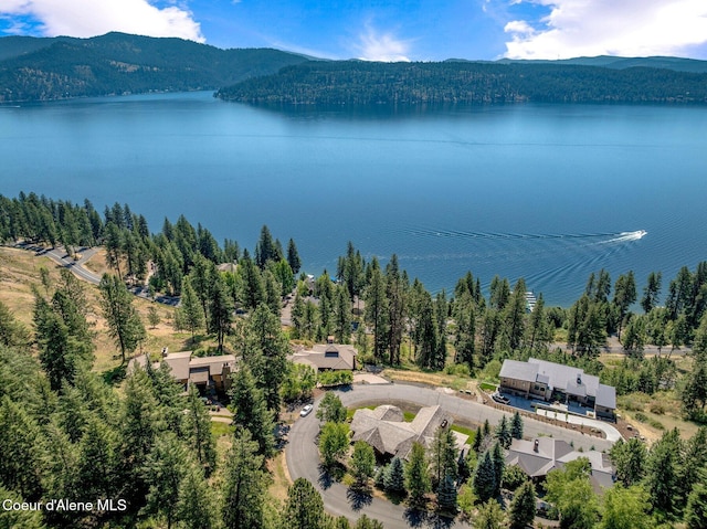 5574 W Onyx Cir, Coeur Dalene, ID 83814 - photo 55