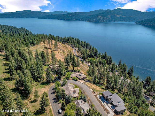 5574 W Onyx Cir, Coeur Dalene, ID 83814 - photo 56