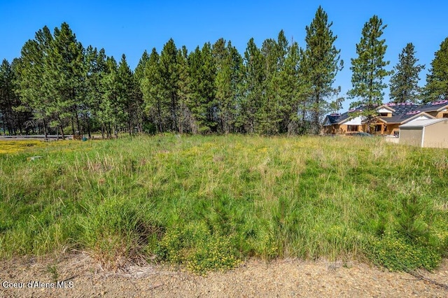 219 Bald Eagle, Newport, WA 99156 - photo 2