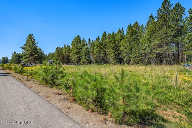 219 Bald Eagle, Newport, WA 99156 - photo 3