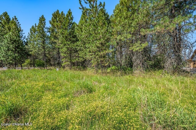 219 Bald Eagle, Newport, WA 99156 - photo 5