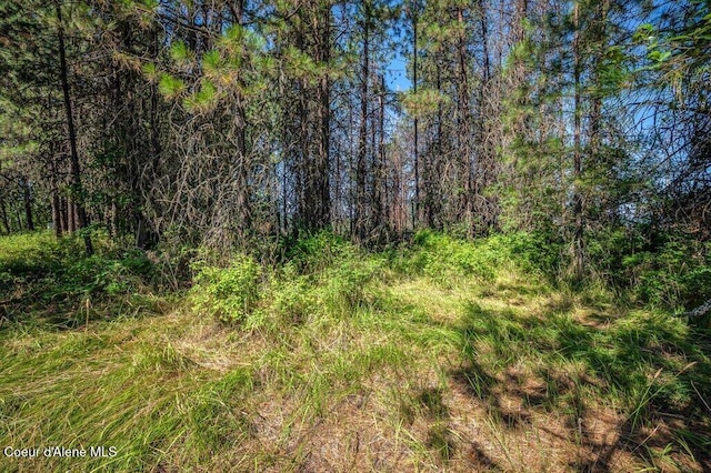 219 Bald Eagle, Newport, WA 99156 - photo 7
