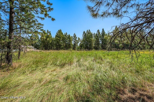 219 Bald Eagle, Newport, WA 99156 - photo 8