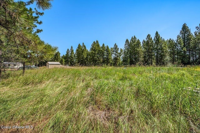 219 Bald Eagle, Newport, WA 99156 - photo 9