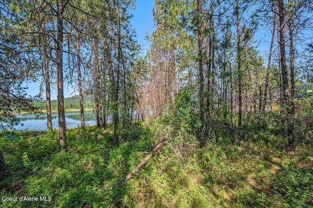 219 Bald Eagle, Newport, WA 99156 - photo 10